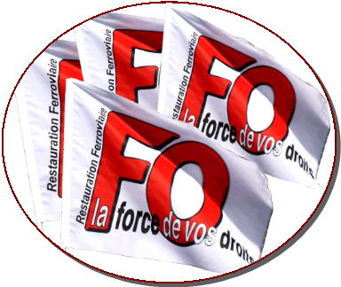 Logo drapeau fo